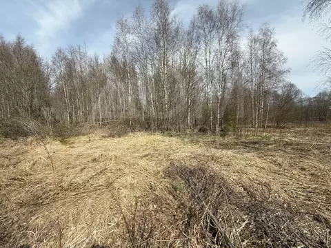 Участок в Ленинградская область, Выборг ул. Младших Командиров (22.5 ...