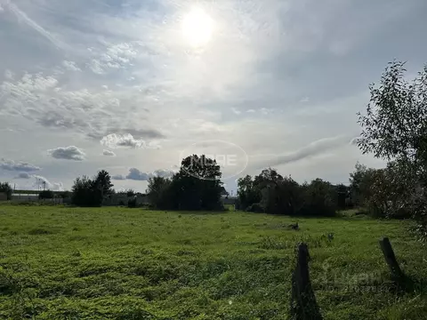 Участок в Калининградская область, Зеленоградский муниципальный округ, ...