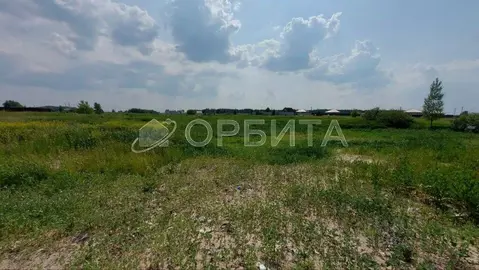 Участок в Тюменская область, Тюменский район, с. Борки  (15.0 сот.)