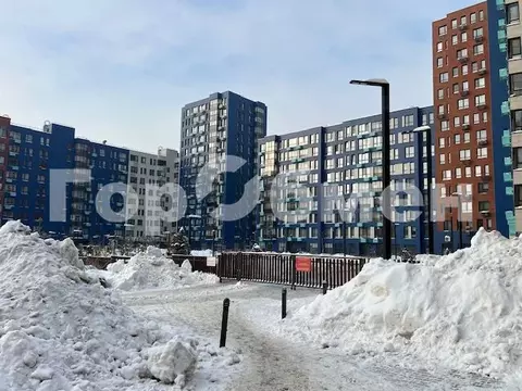 Студия Москва Скандинавия жилой комплекс, ул. Эдварда Грига, 5 (28.7 ...