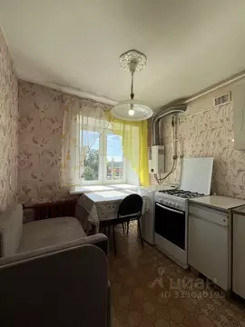 1-к кв. Нижегородская область, Нижний Новгород Московское ш., 137 ...