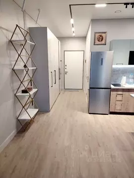 Студия Москва ул. Крузенштерна, 2 (30.0 м)