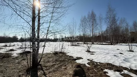 Участок в Московская область, Электросталь городской округ, д. Есино  ...