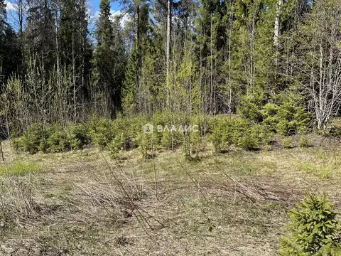 Участок в Карелия, Кондопожский муниципальный район, Кончезерское ...