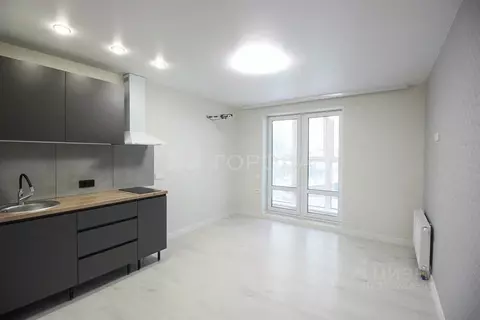 Студия Алтайский край, Барнаул ул. Никитина, 10 (24.5 м)