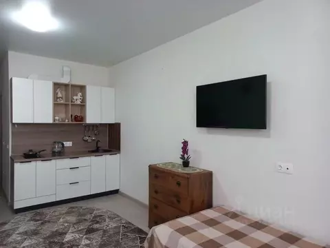 Студия Краснодарский край, Анапа ш. Супсехское, 39к16 (28.0 м)