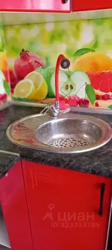 1-к кв. Алтайский край, Новоалтайск Дорожник мкр, 1 (32.0 м)