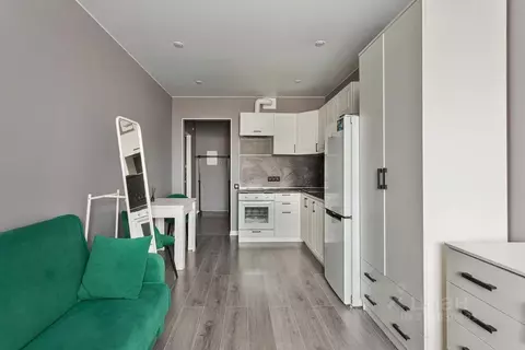 Студия Ленинградская область, Мурино Всеволожский район, ул. ...