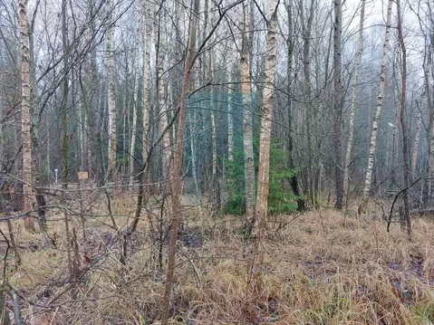 Участок в Москва д. Тетеринки,  (12.0 сот.)