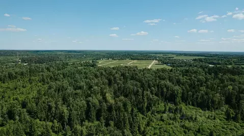 Участок в Московская область, Рузский муниципальный округ, д. Кузянино ...