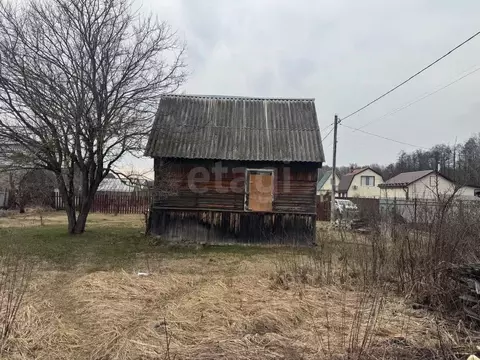 Участок в Брянская область, Брянский район, Нетьинское с/пос, Природа ...