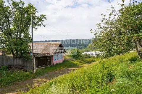 Дом в Челябинская область, Нязепетровск ул. Крушина, 12 (45 м)
