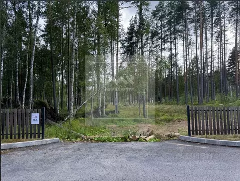 Участок в Ленинградская область, Приозерский район, Раздольевское ...
