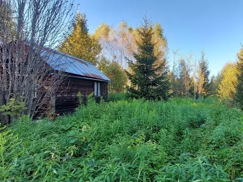 Дом в Московская область, Можайский муниципальный округ, д. ...