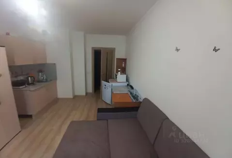 Студия Ленинградская область, Мурино Всеволожский район, ул. Шувалова, ...