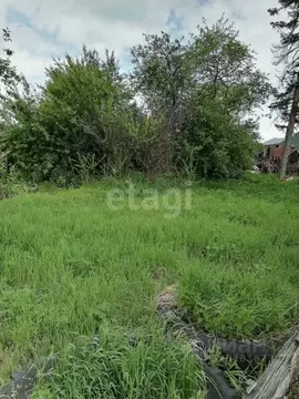 Участок в Алтайский край, Алтайский район, с. Куяган Партизанская ул. ...