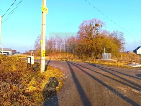 Участок в Калининградская область, Гурьевский муниципальный округ, ...