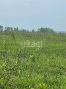 Дом в Калужская область, Малоярославецкий муниципальный округ, ...