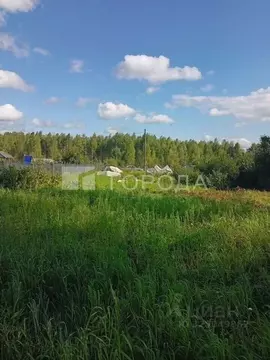 Участок в Новосибирская область, Новосибирский район, Новолуговской ...