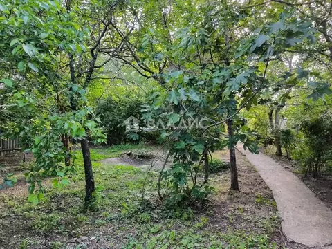 Участок в Краснодарский край, Новороссийск Цемдолина тер., ул. Ленина, ...