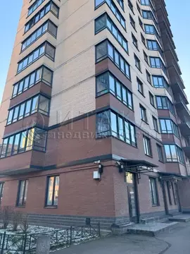 1-к кв. Санкт-Петербург ул. Репищева, 10к3 (41.4 м)