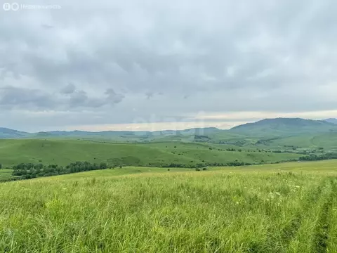 Участок в Алтайский район, ДНТ Жемчужина Алтая (17.5 м)