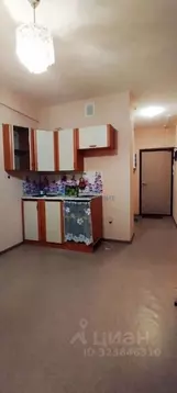 Студия Нижегородская область, Нижний Новгород бул. Южный, 14 (17.6 м)