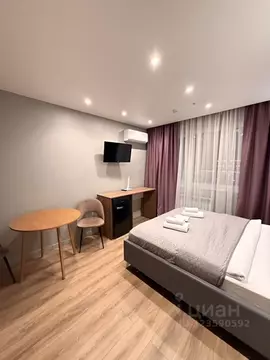 Студия Москва Ленинский просп., 158 (20.0 м)