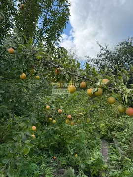 Дом в Челябинская область, Челябинск ул. 2-я Павелецкая, 71 (10 м)