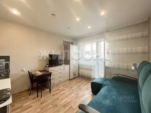 1-к кв. Новосибирская область, Новосибирск ул. Виктора Уса, 4 (21.6 м)