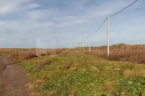 Участок в Тюменская область, Тюменский муниципальный округ, с. ...