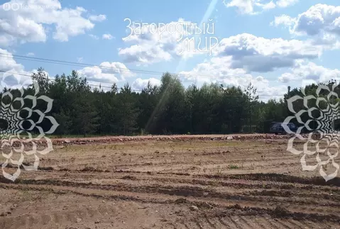 Участок в Балашиха, территория СНТ Заря, 269 (10 м)