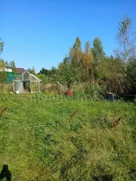 Участок в Ленинградская область, Выборгский район, Советское городское ...