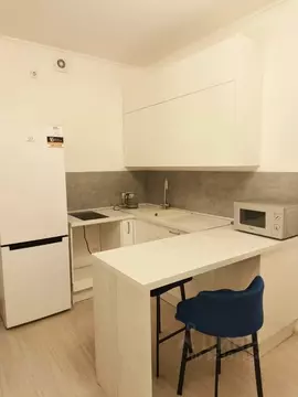 Студия Ленинградская область, Всеволожский район, пос. Бугры бул. ...