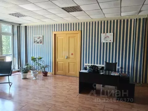 Помещение свободного назначения в Амурская область, Благовещенск КПП ...