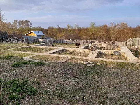 Участок в Самарская область, Сызранский район, с. Заборовка ...