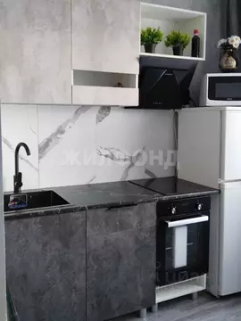 2-к кв. Новосибирская область, Новосибирск Гурьевская ул., 37 (45.0 м)