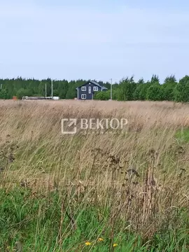 Участок в Костромская область, Кострома Соколиное Гнездо кп, 1 (7.0 ...