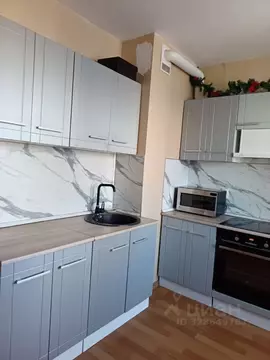 2-к кв. Санкт-Петербург пос. Парголово, проезд Толубеевский, 14к1 ...