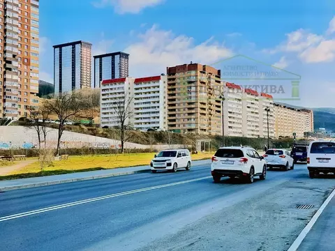 3-к кв. Приморский край, Владивосток Снеговая Падь мкр, ул. Адмирала ...