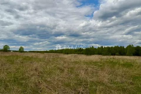Участок в Владимирская область, Владимир д. Шепелево,  (11.6 сот.)