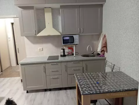 Студия Санкт-Петербург пос. Шушары, Школьная ул., 15 (24.0 м)