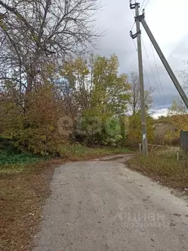 Участок в Белгородская область, Белгородский район, с. Стрелецкое  ...