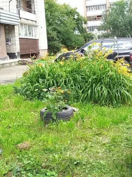 2-к кв. Новосибирская область, Новосибирск ул. Котовского, 10 (53.3 м)