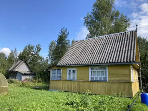Дом в Ленинградская область, Гатчинский муниципальный округ, Кобрино ...