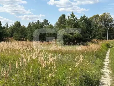 Участок в Брянская область, Брянский район, Новодарковичское с/пос, д. ...