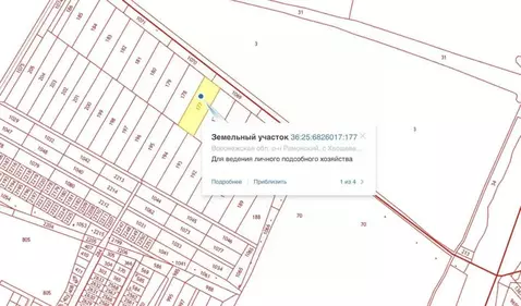 Участок в Воронежская область, Рамонский район, Новоживотинновское ...