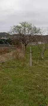 Участок в Крым, Алушта Восход СНТ,  (11.5 сот.)