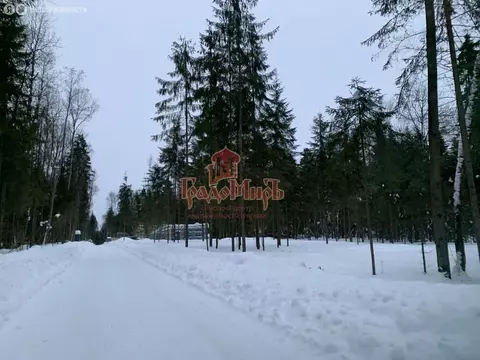 Участок в Московская область, Дмитровский муниципальный округ, деревня ...