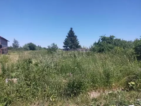 Участок в Ярославская область, Ярославский муниципальный округ, д. ...